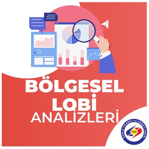 BLGESEL LOB ANALZLER