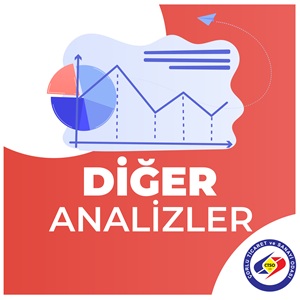 DER ANALZLER