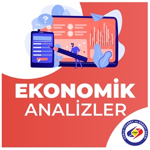 EKONOMK ANALZLER