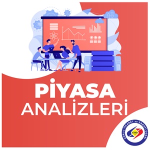 PYASA ANALZLER